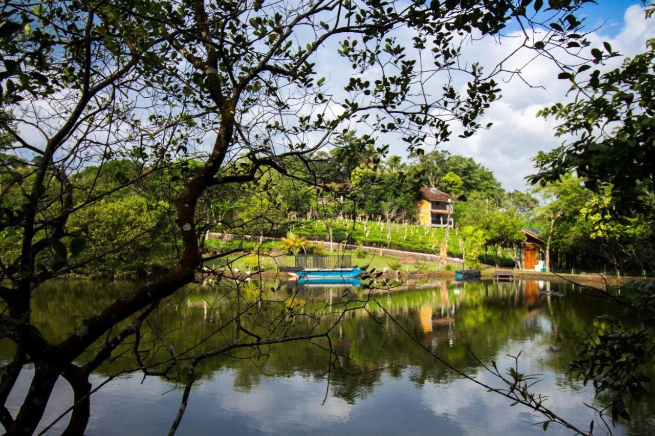 Lake Serenity Resort & Spa Kuruwita エクステリア 写真